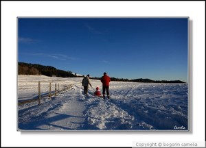 Teichalm-Austria...winter impressions 3