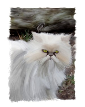 Persian Cat 2