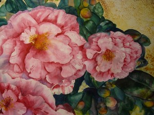 Camellia's From the Gardens