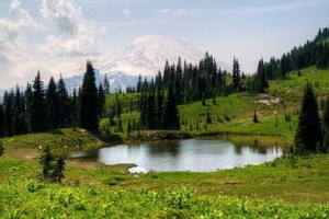 mtrainier2