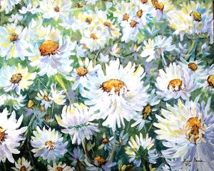 Daisies A Plenty