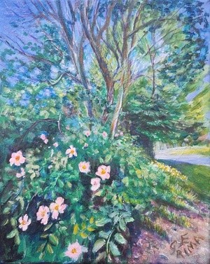 Rose tinted summer