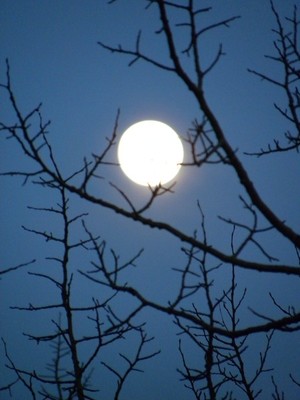 Colorado Moon