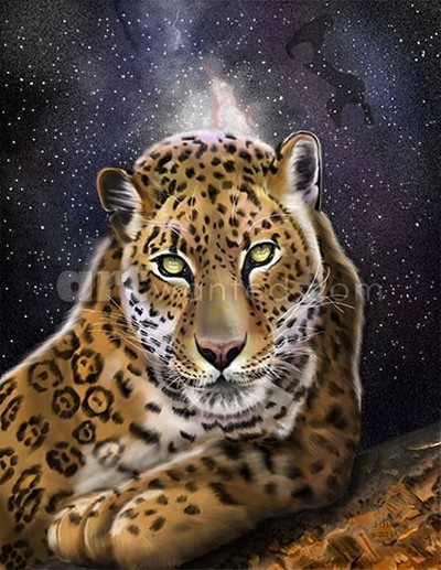 Leopard of the Night
