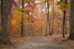 Fall at the Dam