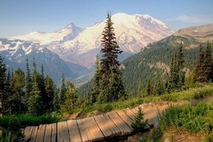 mtrainier8