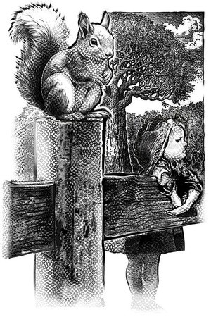 -Squirrel Patrols