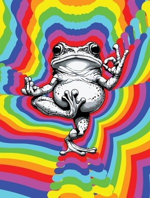 Zen Frog Masterpiece