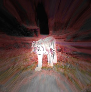 The Hunter