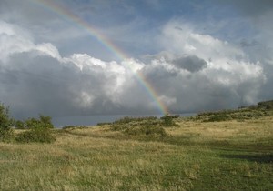 Rainbow in my backyard