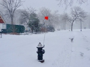 Central Park blizzard