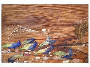 Migrated Birds