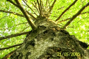 Tatjana Prelog Portfolio