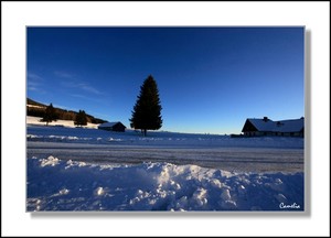 Teichalm -Austria ...winter impressions 4