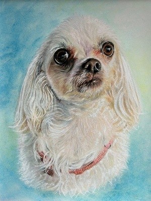 “Rosie”