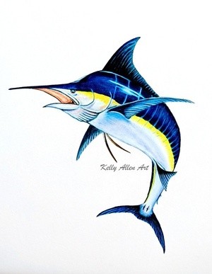 Blue Marlin Prismacolor