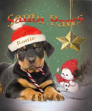 Rottweiler Puppy Santa Paws