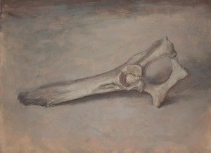 bone