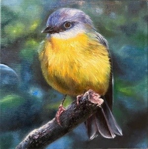 Yellow Robin
