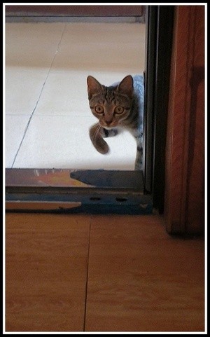 may I come in?