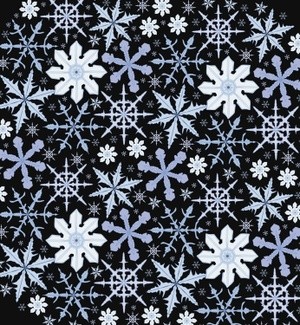Snowflakes on black sky