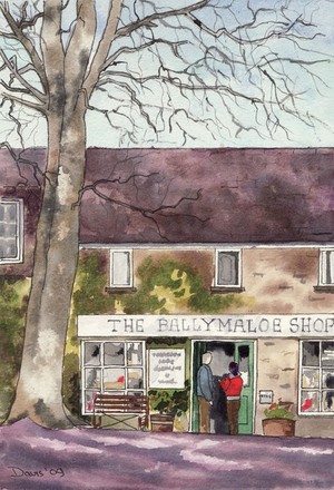 Ballymaloe Shop 2