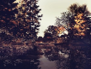 Autumnnal lake