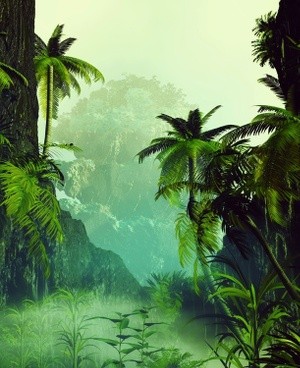 Tropical Scenery