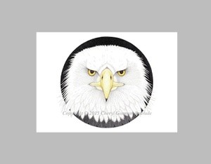 Bald Eagle Pen and Ink Pointillism