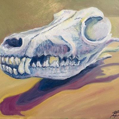 Coyote Skull #3