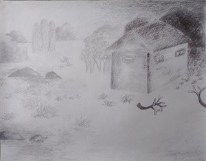 Pencil Drawing