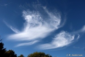Fun with trees and clouds