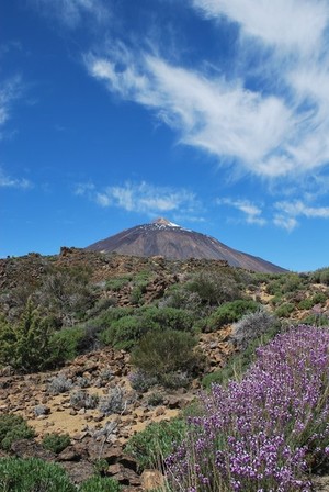 Teide-Nationalpark