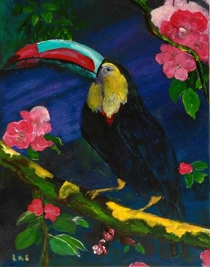 Colors of the Rainforest