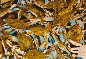 Crabs # 3