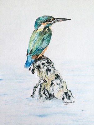 Kingfisher