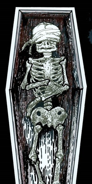 Bone Box - Final Cover Drawing