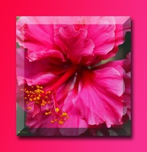 Macro