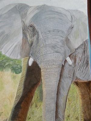 nellie the elephant