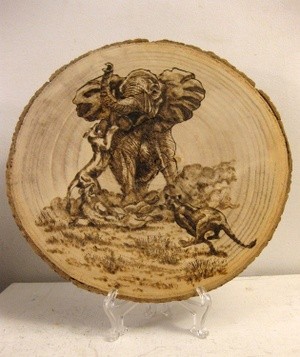 3 Lions and one Bull Elephant