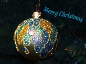Merry Christmas