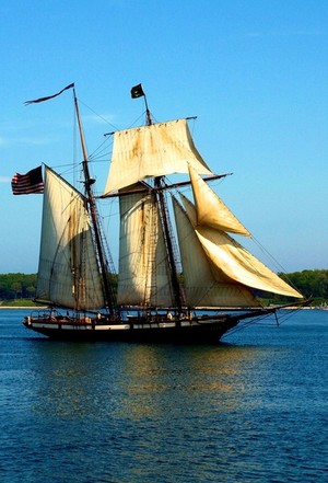 Lola Grieco Portfolio