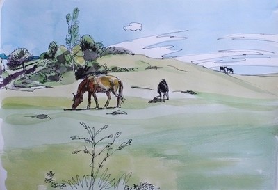 spring and horses