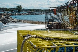 Lobster Cages in New England