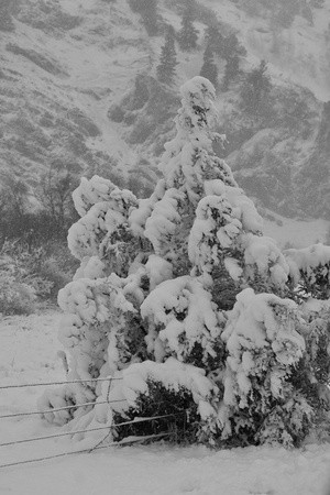 this is what it is like yesterday at 7,000 feet 