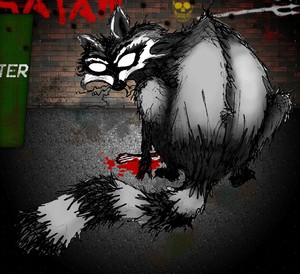 Raccoon