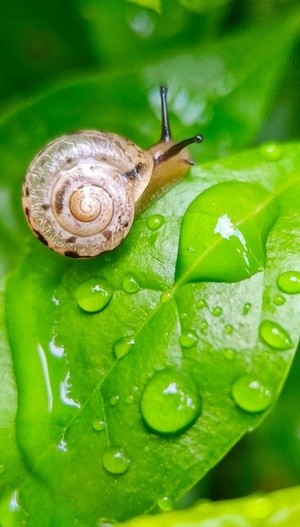 after rain
