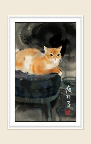 cat at night