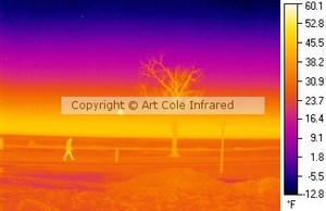 Art Cole