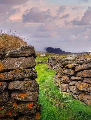 Icelandic farm